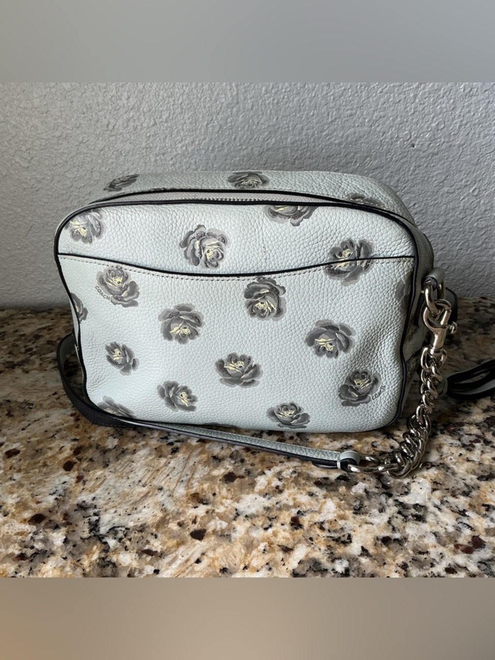 Coach Rose Print Camera Bag - Picture 2 of 7